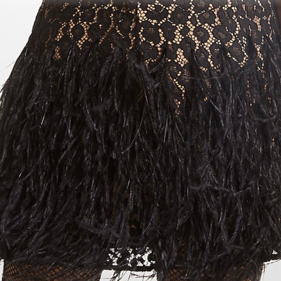 Michael Kors Feather Embellished Corded Lace Dress Size XXS - Picture 2 of 11